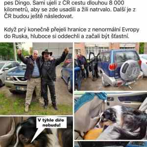 dezolati se konecne stehuji do zeme zaslibene -...