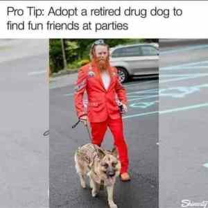 drug dog tip