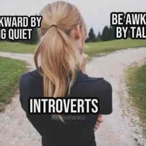 introverts 