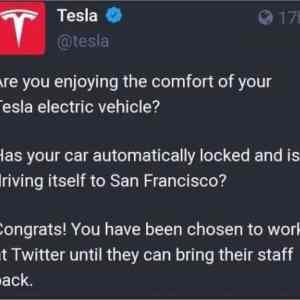new Tesla policy