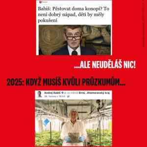novy konopny baron  
