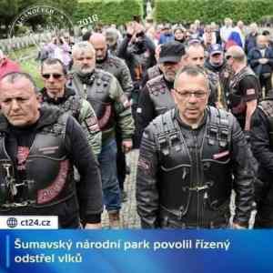 selmy&nbsp;na&nbsp;Sumave