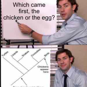 the chicken or the egg