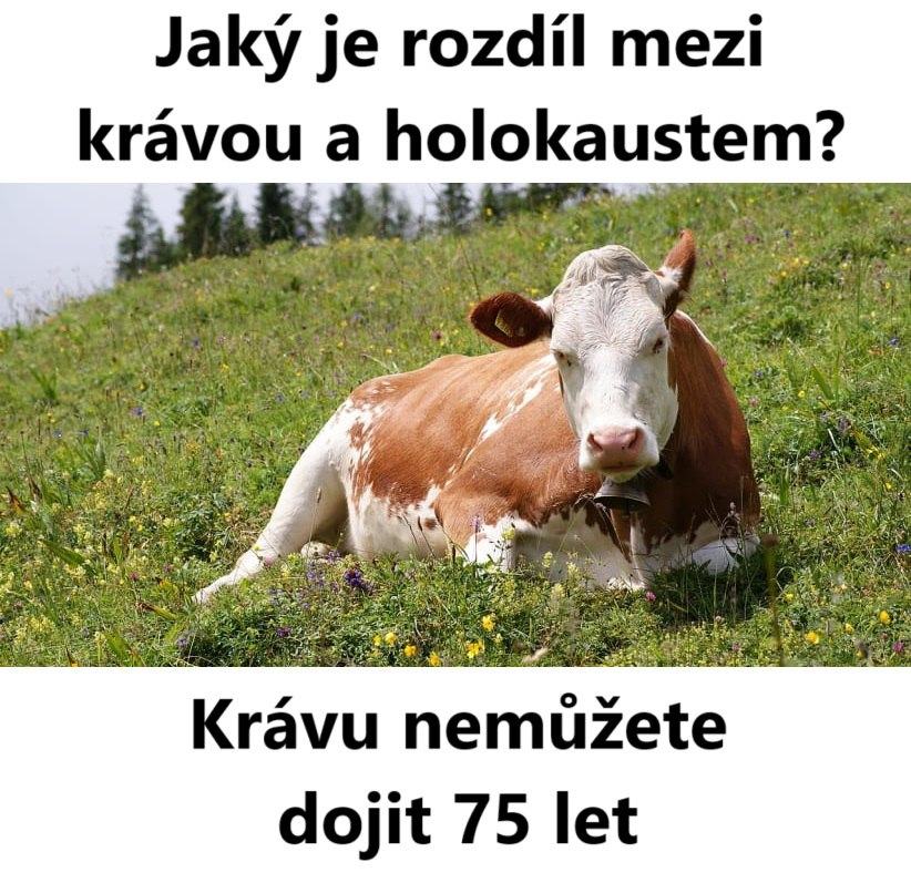 Obrázek Kosher vtip