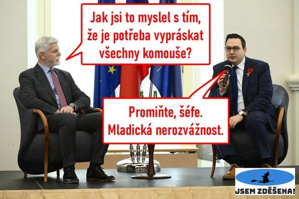 Obrázek Mladicka nerozvaznost