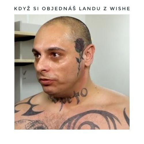 Obrázek kdyz si objednas landu z wishe