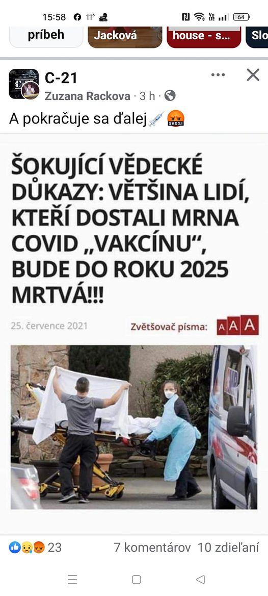 Obrázek sokujici ruske desinformace