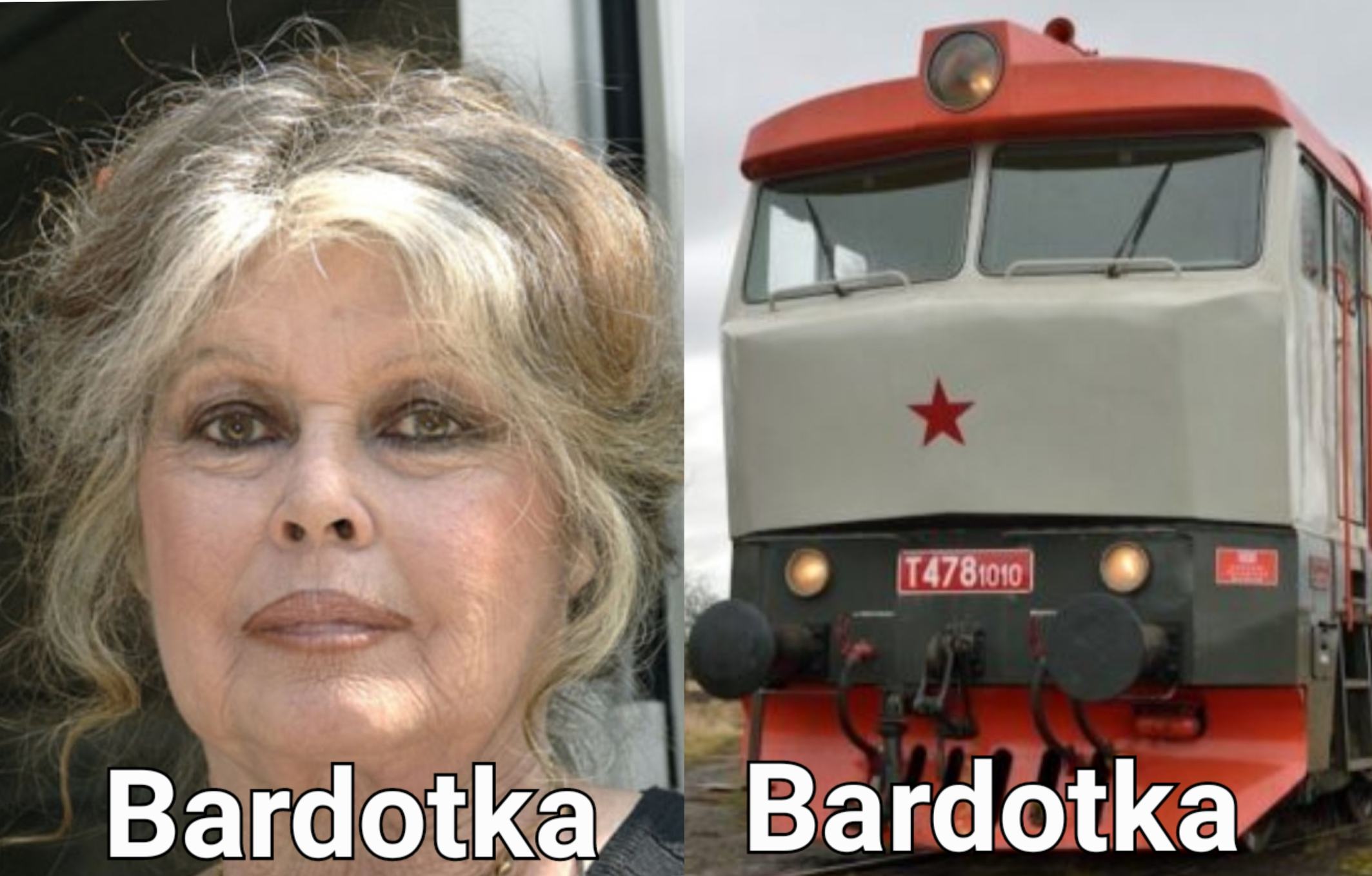 Obrázek Bardotka-a-Bardotka-side-by-side