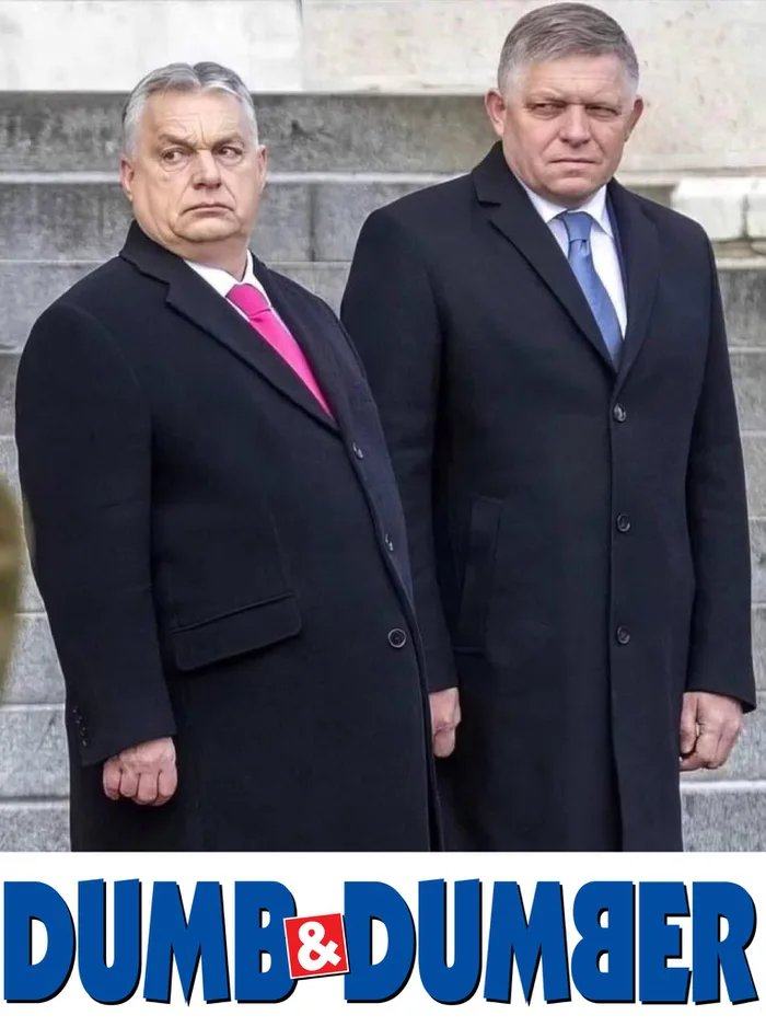 Obrázek Dumb-and-Dumber-Eastern-Europe-1734912808826