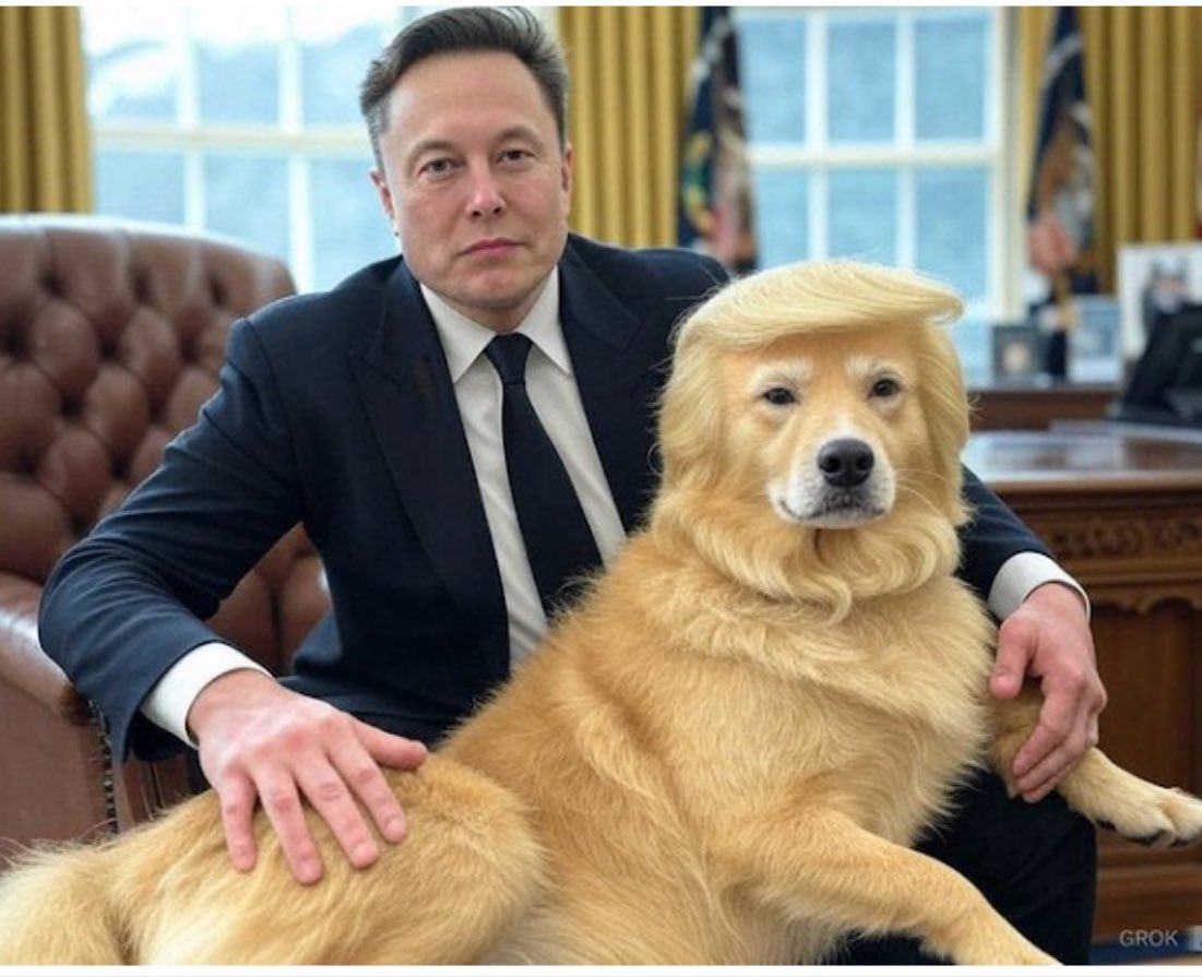 Obrázek POTUS with his dog