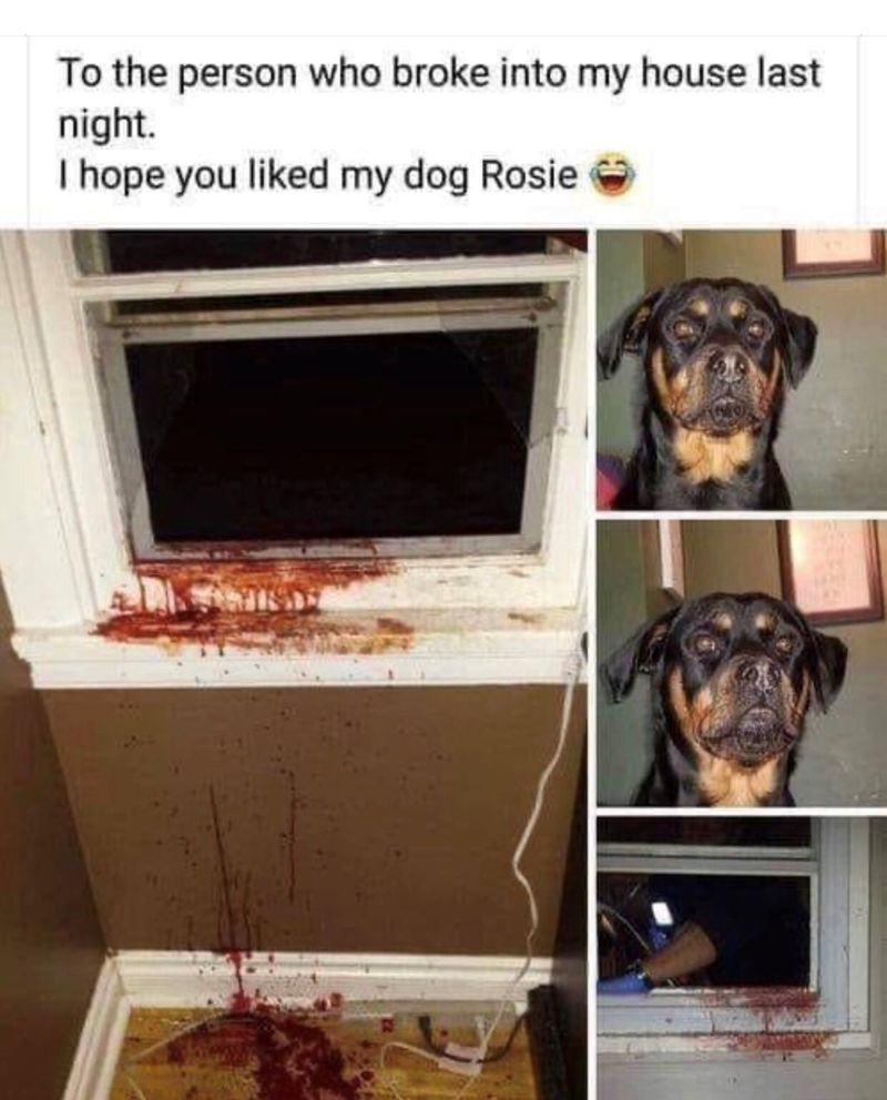 Obrázek Rosie takes no prisoners