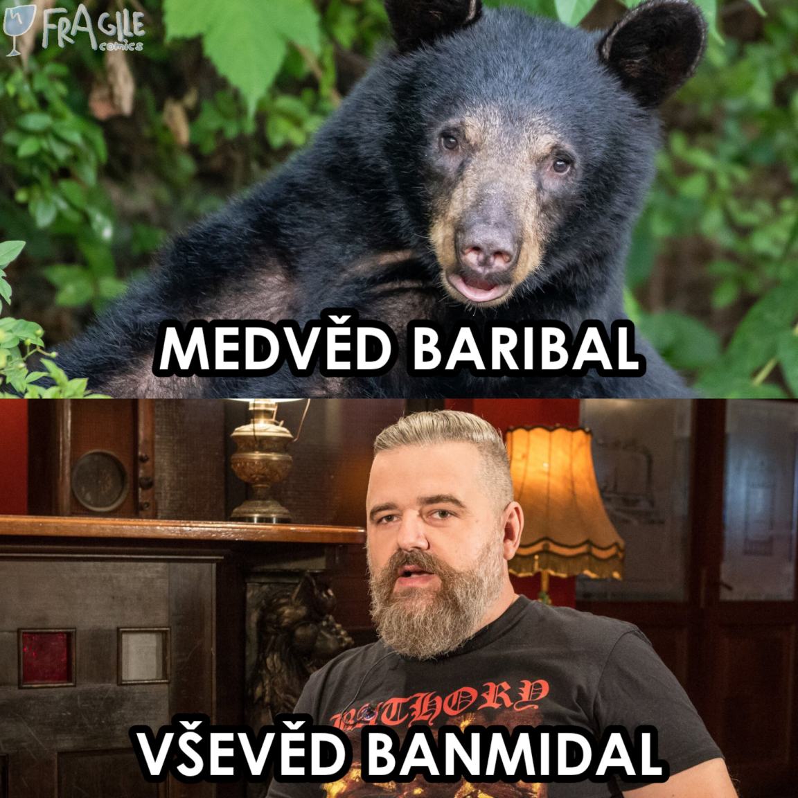 Obrázek Vseved banmidal