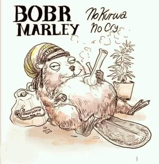 Obrázek bobr marley