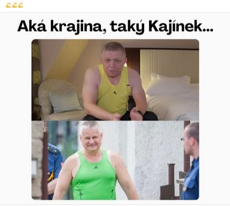 Obrázek bratri v triku SK