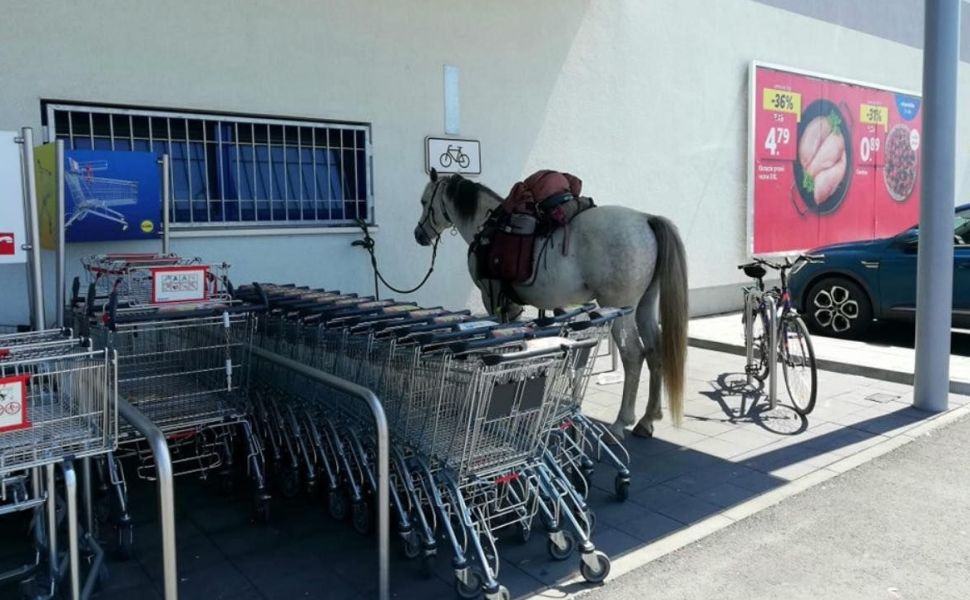 Obrázek eko dopravnik lidl ba 2024