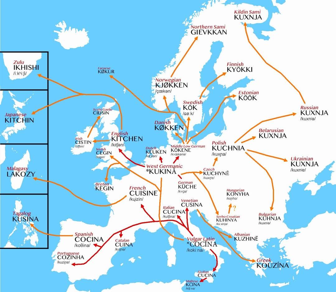 Obrázek geneze slova kuchyne z latiny