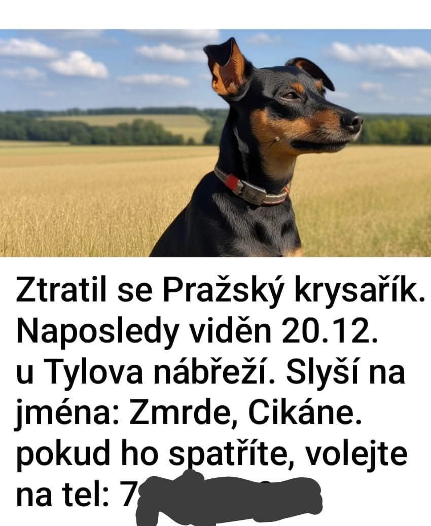 Obrázek kdyby jste ho nasli tak si ho radeji nechte