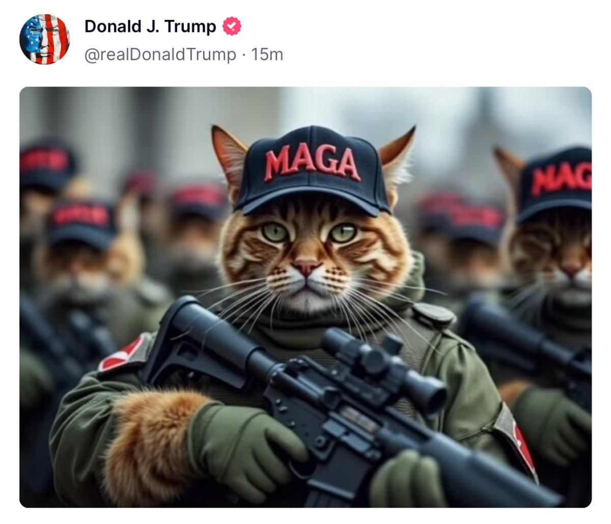 Obrázek make MAGA great again