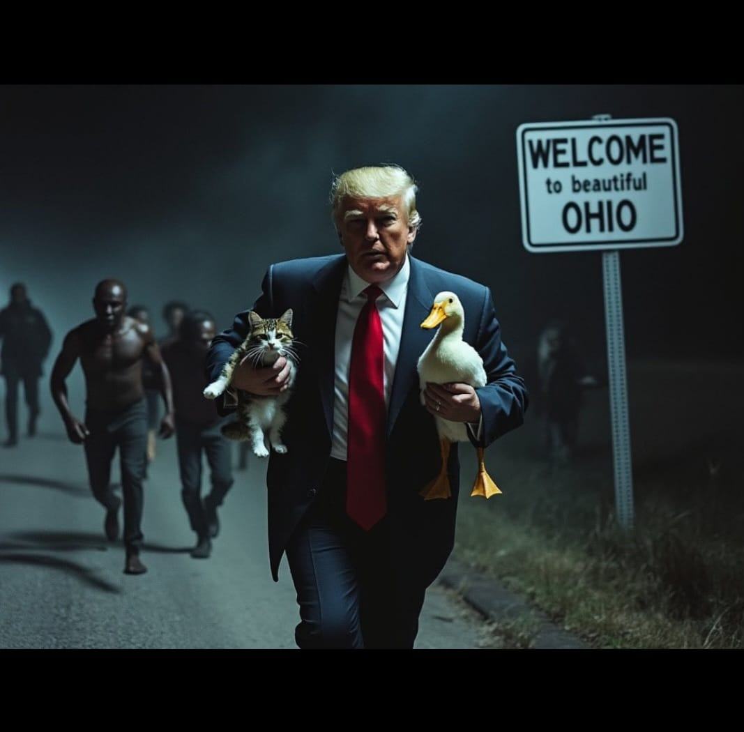 Obrázek meanwhile Donald in Ohio