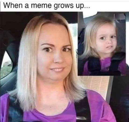 Obrázek meme grew up