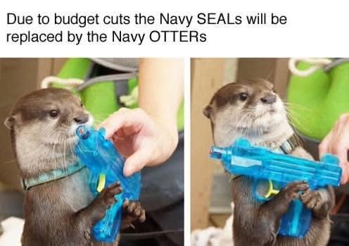 Obrázek navy-otter