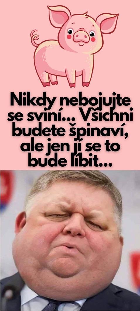 Obrázek nebojuj se svini